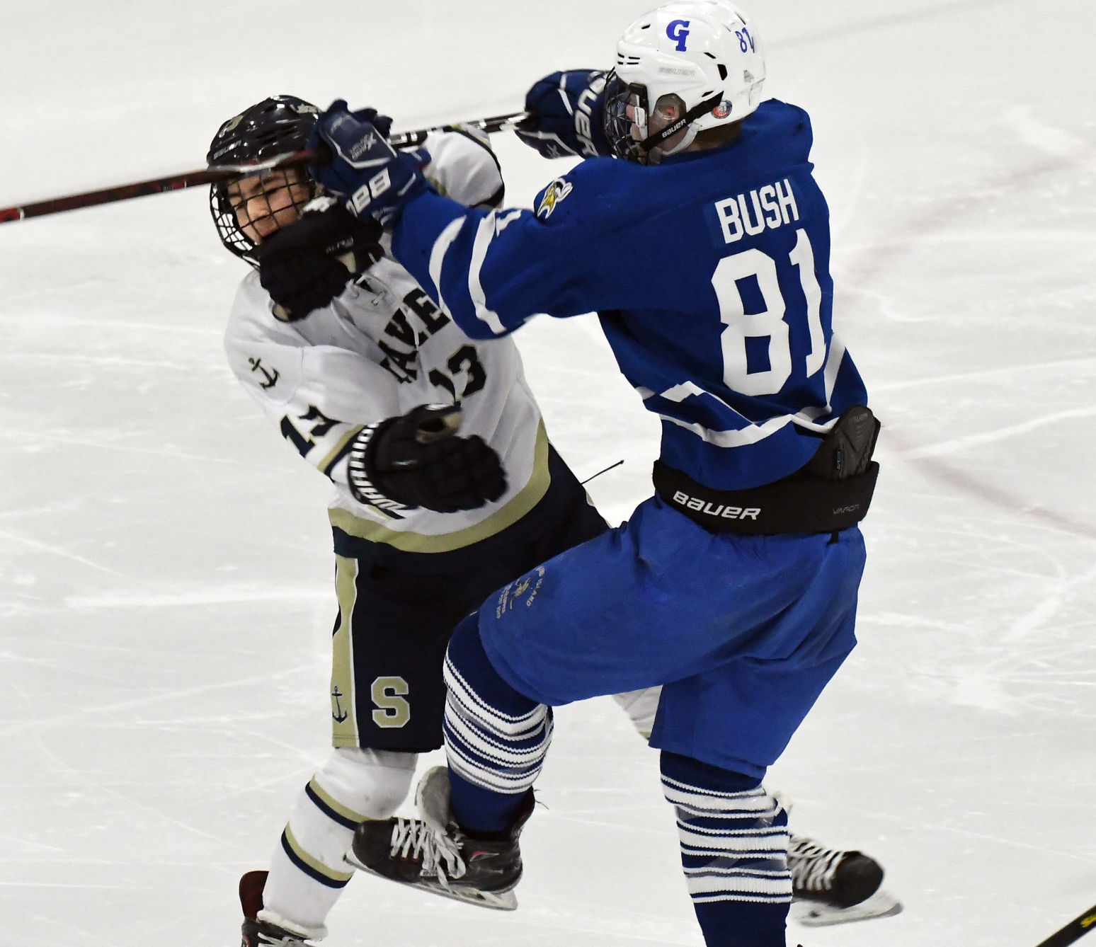 Skaneateles Grand Island 13.JPG